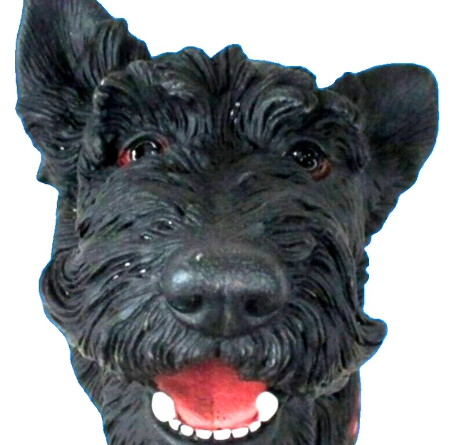 Kit de manualidades hechas a mano para perros con suministros de arte talla 5 x 4