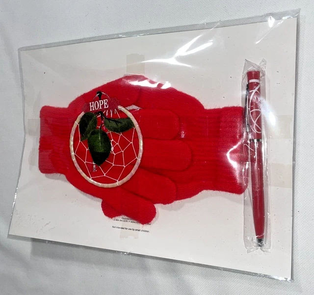Lakota Native American Indian Dream Catcher Christmas in package