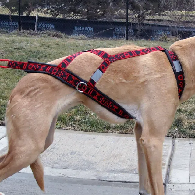 Howling Dog Alaska Hybrid Light Weight X-Back Zuggeschirr Canicross Dogscooting