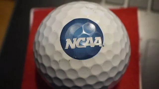 Vintage  NCAA Golf Ball #***Titleist Pro V1*** - L14