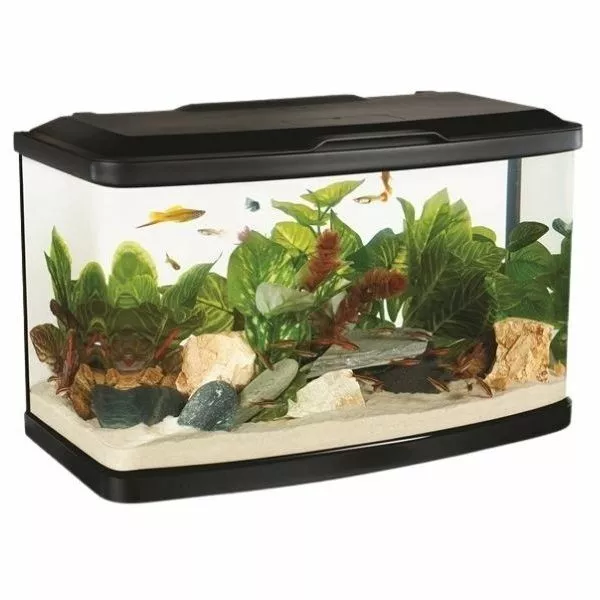 Marina Vue 32L Bent Glass Aquarium Kit Panoramic Design With Touch LED Lighting