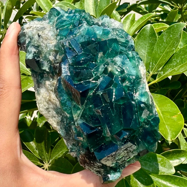 1.24LB NATURAL Green FLUORITE Quartz Crystal Cluster Mineral Specimen. 3