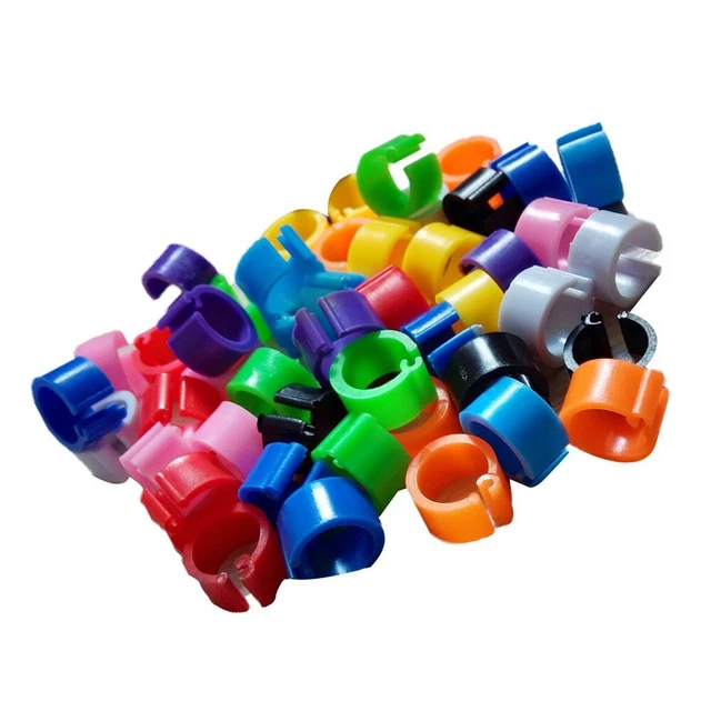 Juego de 10 colores de anillos de pollos de 7 mm/0,27 pulgadas de loro reutilización 100 piezas a la venta