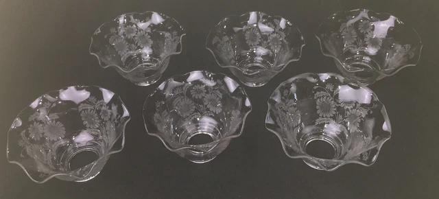 Lot of 6 Acid Etched Floral Glass Lamp Shade Victorian Antique for Gasolier