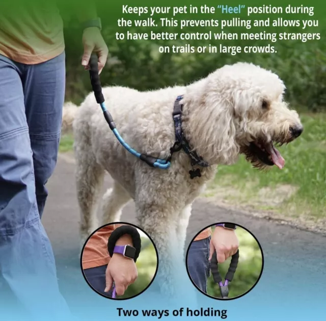 Short Training Traffic Leash for Dogs Teach to Walk Without Pulling L18-5 Feet