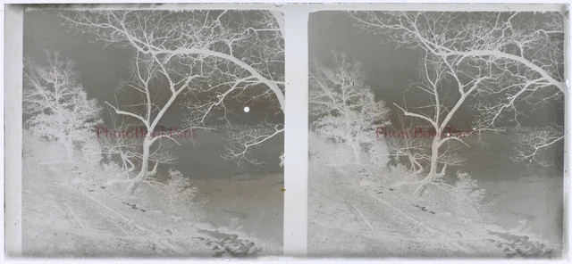 Romantic Landscape c1930 France Photo NEGATIVE Stereo Glass Plate Vintage  2