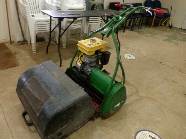 Webb 24 cylinder mower online