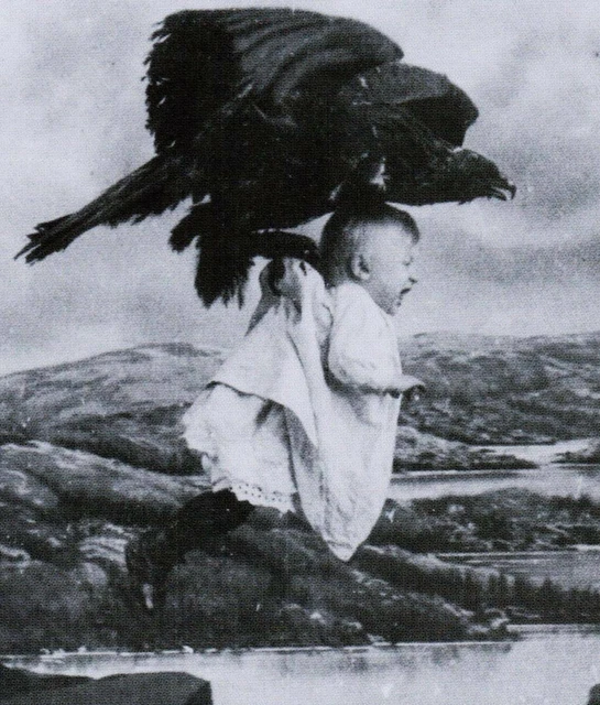 Antique Flying Baby Photo 301b Odd Strange & Bizarre
