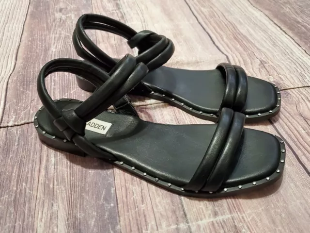 Steve madden darnell clearance