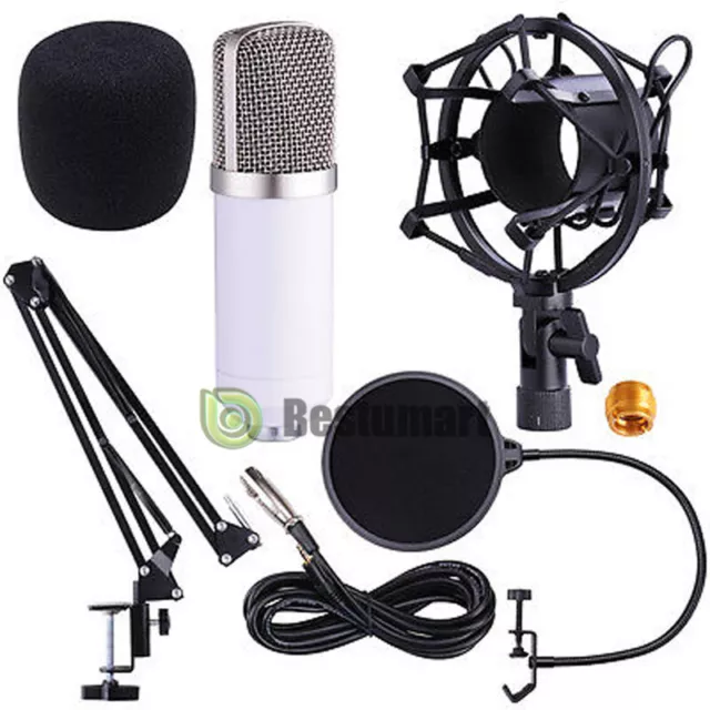 PROFESSIONAL Audio Condenser Microphone Kit Vocal Studio Recording Set Stand USA
