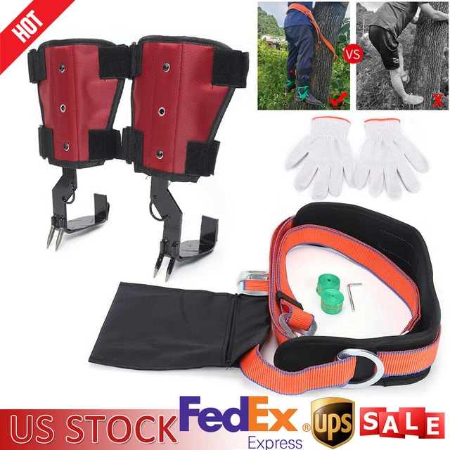 2Gear Tree/Pole Climbing Spike Tool Safety Belt Rope w/Carabiner Anti-skid 145kg