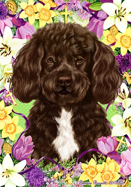 Easter House Flag - Bearded Brown and White Portuguese Water Dog 33913