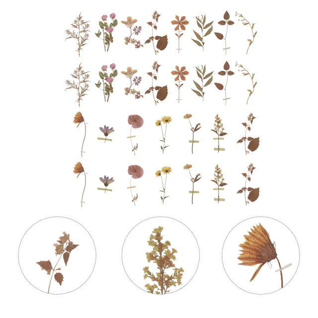 80 Sheets Pet Sticker Pack Floral Stickers Plant Scrapbook Travel