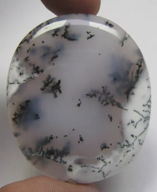 76.70 Cts Natural White Dendrite Opal Cabochon Oval Shape Loose Gemstone D 2793