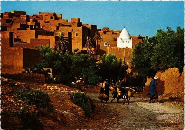 CPM AK MAROC Le MAROC Pittoresque. TINERHIR (342760)