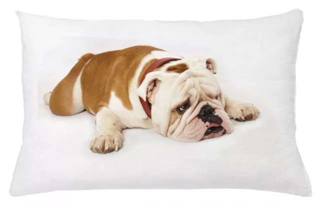 Kissenbezug Dekokissen für Sofa Englische Bulldogge Sad Tier