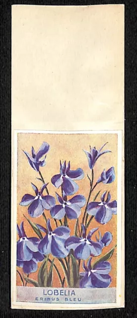 Lobelia Erinus Bleu / Blue French Flower Seed Packet Unused c1900-1920