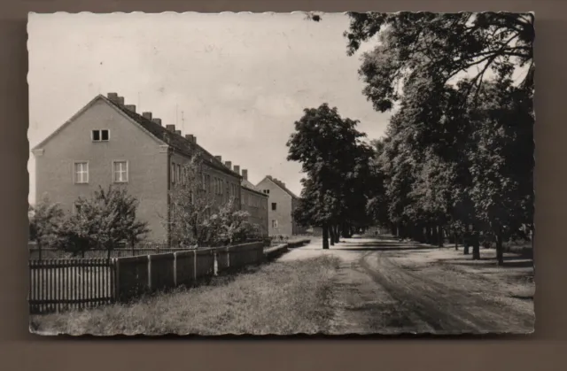AK DDR Bernsdorf Krs. Hoyerswerda  Kirchstraße Allee Wohnhäuser ungel.1959