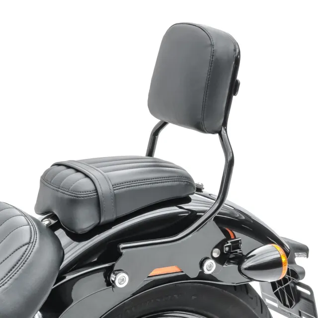 Sissybar für Harley Davidson Softail 18-23 R1 Abnehmbar schwarz gebraucht
