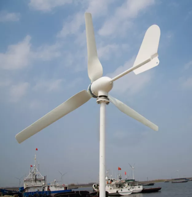 1000W 12V 24V Wind Turbine Horizontal Wind Power Generator With MPPT Controller