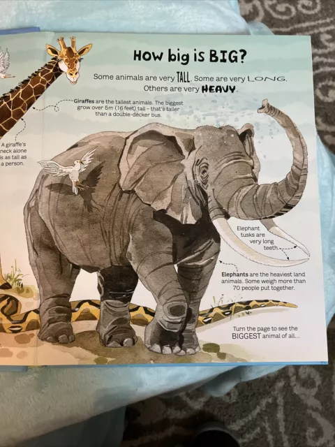 Usborne Big Book of Big Animals by Hazel Maskell Homeschool Classrooms Teachers