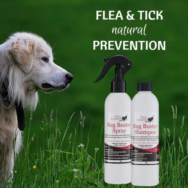 Flohspray Und Shampoo Behandlung Für Hunde 100% Natürliche Produkte - Schnell Wirkend 2