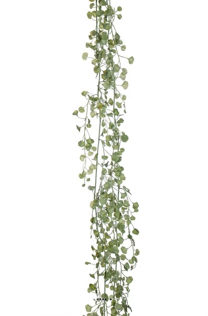 Guirlande de feuillage de Ceropegia artificiel L 150 cm