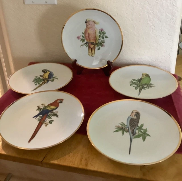 Set of (5) Bareuther Waldsassen Bavaria Germany Bird Plates~Parakeet & Parrots