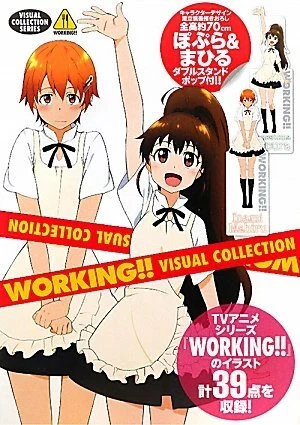 Visual Collection WORKING! !! VISUAL COLLECTION (visual collection series) form JP £34.84 ...