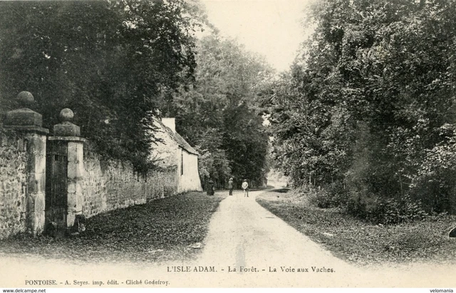 11981 cpa 95 L'Isle Adam - la Forêt - la voie aux vaches