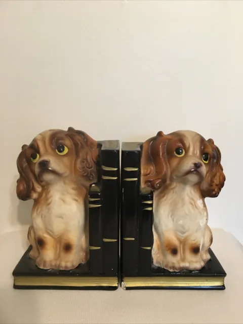 vintage Chalkware cocker spaniel bookends