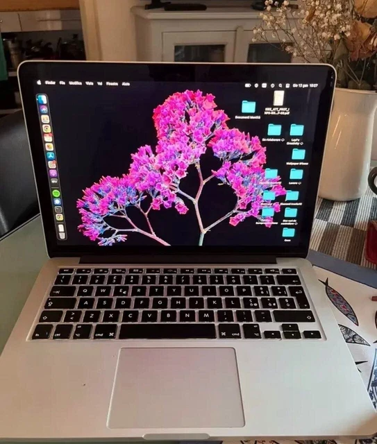 Apple Macbook Pro 13,3" retina Mid 2014 I5 8GB SSD 128GB