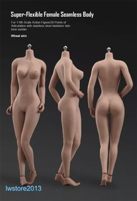 1/6 LARGE BUST Seamless Female Body 12inch Figure Doll Fit Phicen Hot Toys  Head $65.20 - PicClick