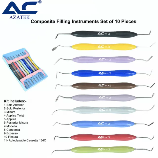 Dental Composite Filling Restorative Instruments 10 Pcs Set with Silicon Handle