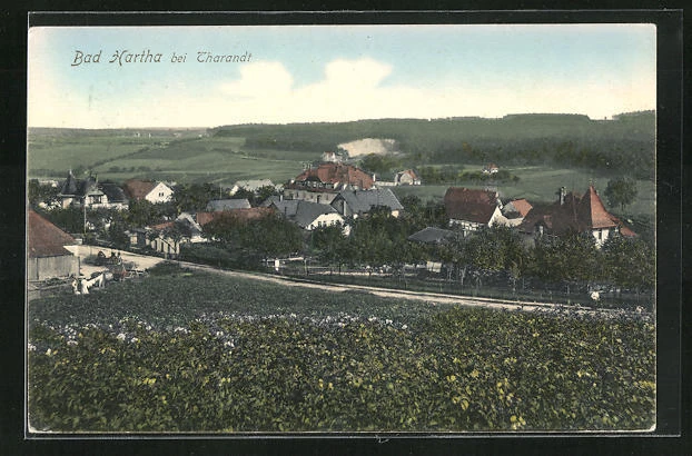 AK Bad Hartha, Blick auf den Ort 1918
