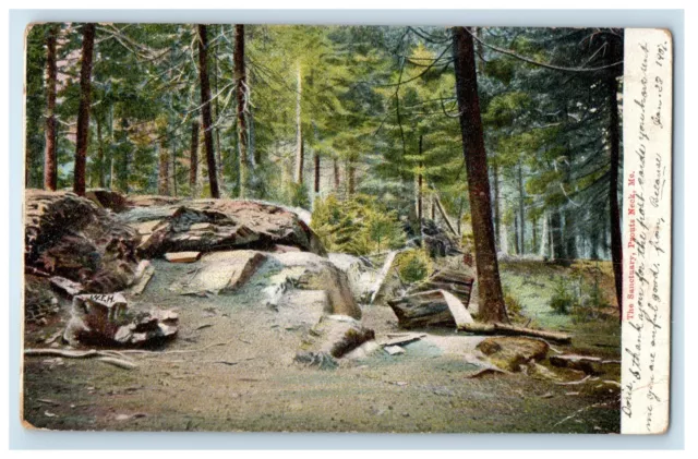 c1905 The Sanctuary Rocks And Trees Prouts Neck Maine ME Posted Antique Postcard