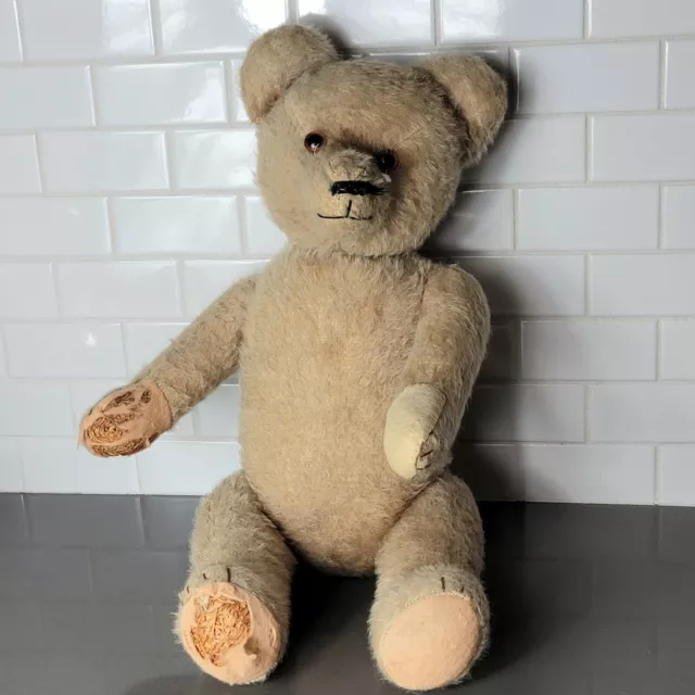 Antique STEIFF 1900s Mohair Teddy Bear Straw-Stuffed Jointed