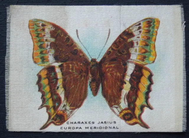 CHARAXES JASIUS Butterflies and Moths SILK SCARCE Spanish Language Caption 1910
