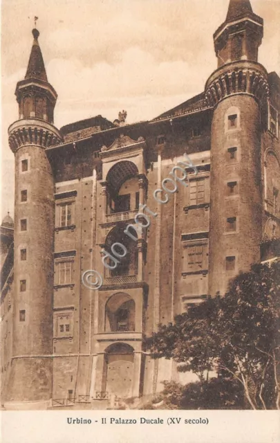 Cartolina - Postcard - Urbino Palazzo Ducale