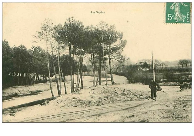 54.LES SAPINS.n°92