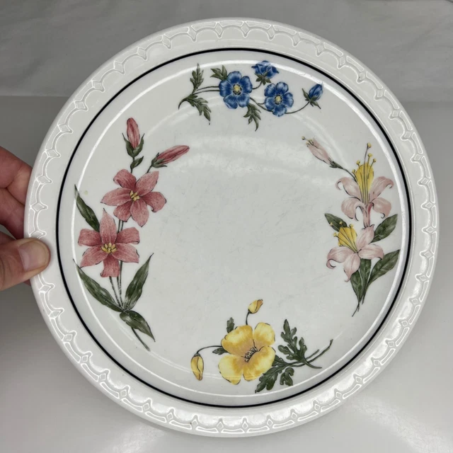 Southern Pacific Railroad Lines Railroad China 9.5" Dinner Plate  - 90233
