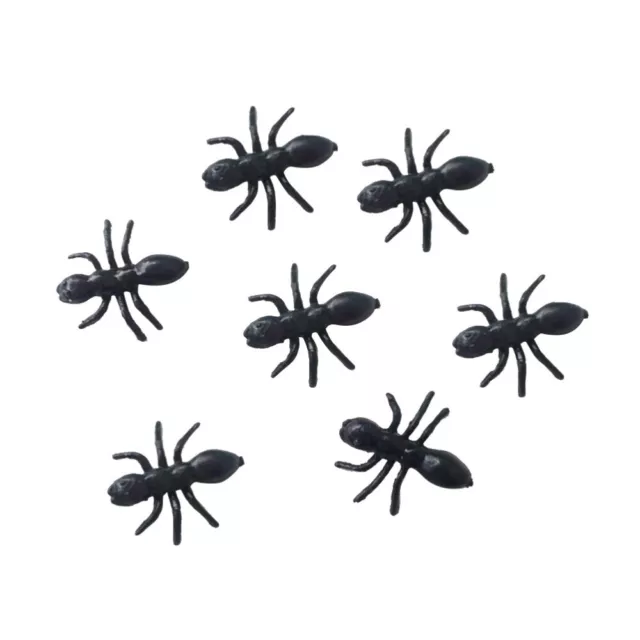 50pcs Plastic Kids Antfarm Kids Plastic Ants Live Ants