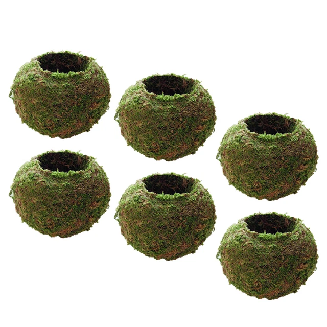 6 stücke Natürliche Mooskugeln Blumentopf Balkonkasten Indoor/Outdoor
