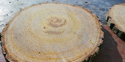 fette di legno Dischetti Legno Grezzo Fette Di Legno Grezzo con Corteccia Decorazioni Fette Tronchi incompiuti in legno Diametro 3-4 cm QUCUMER 100 fette di legno naturale per lavori fai da te 