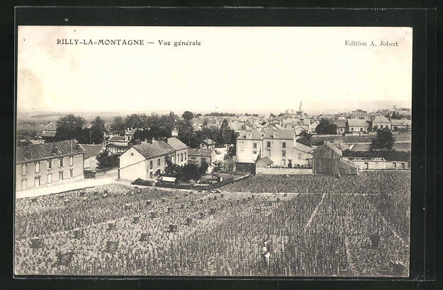 CPA Rilly-La-Montagne, General View