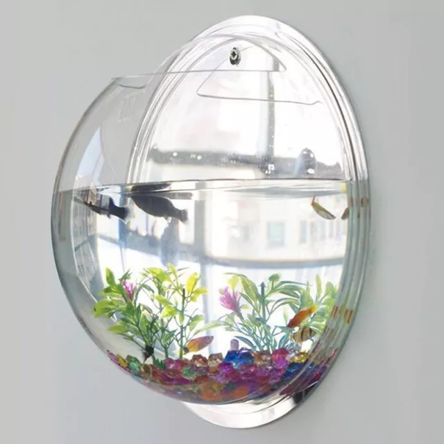 Wall Mounted Hanging Fish Bowl Aquarium Tank Beta Goldfish Plant Home Art Decor