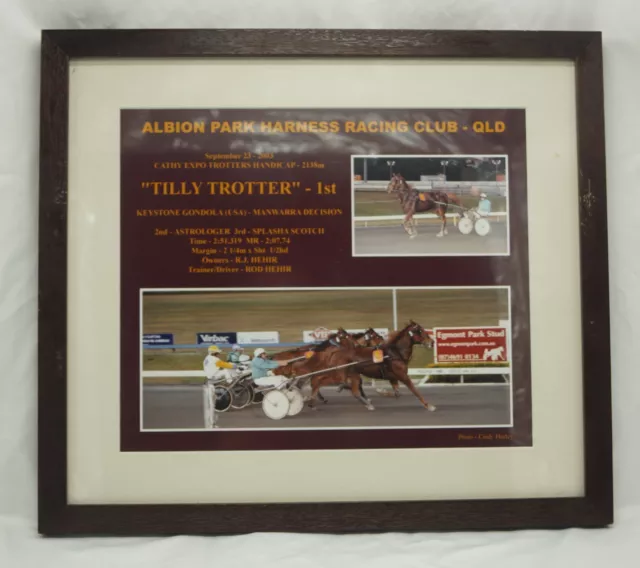 Albion Park Harness Racing Club "Tilly Trotter" 23rd September 2003 Winner Photo