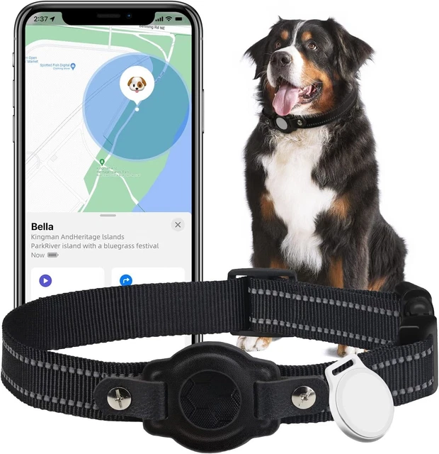 Collar inteligente de seguimiento de mascotas GPS DOG impermeable ubicación para perros (solo iOS) sin tarifa mensual