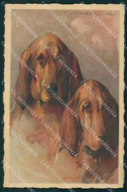 Corbella Bloodhound Saint Hubert dog Degami serie 578 postcard cartolina QT6828