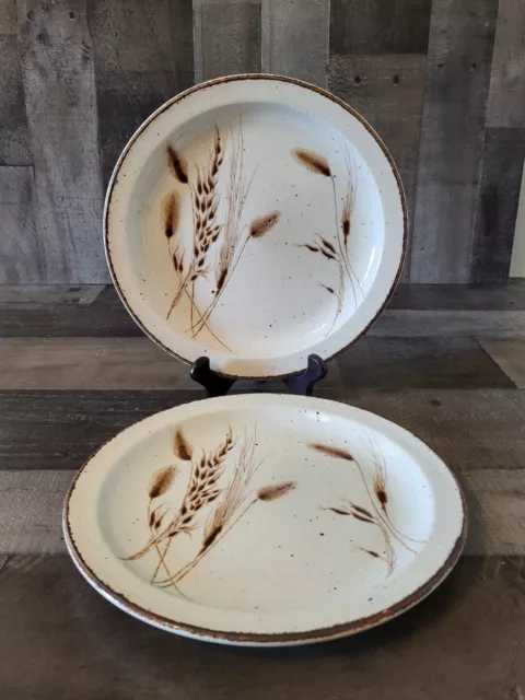 Set of 2 VTG Wild Oats Stonehenge Dinner Plates 10.5" by Midwinter Ltd England